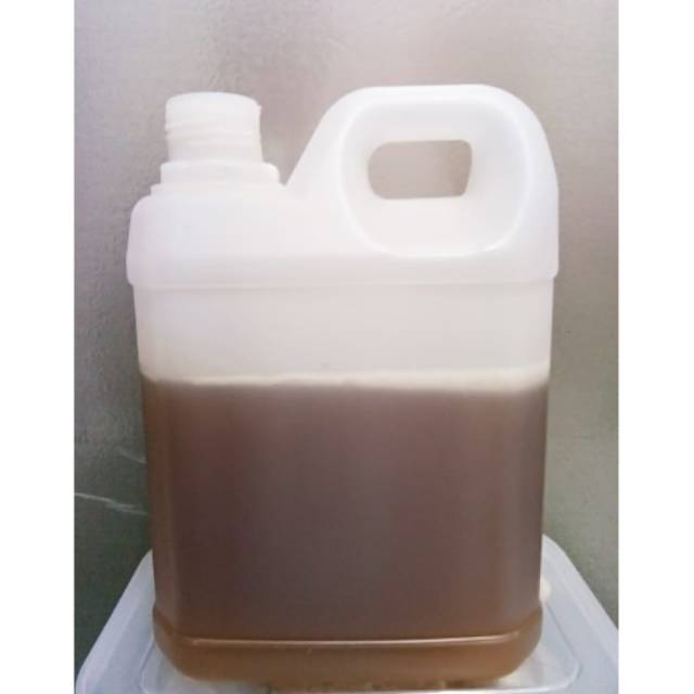 

Madu murni kemasan 1 kg