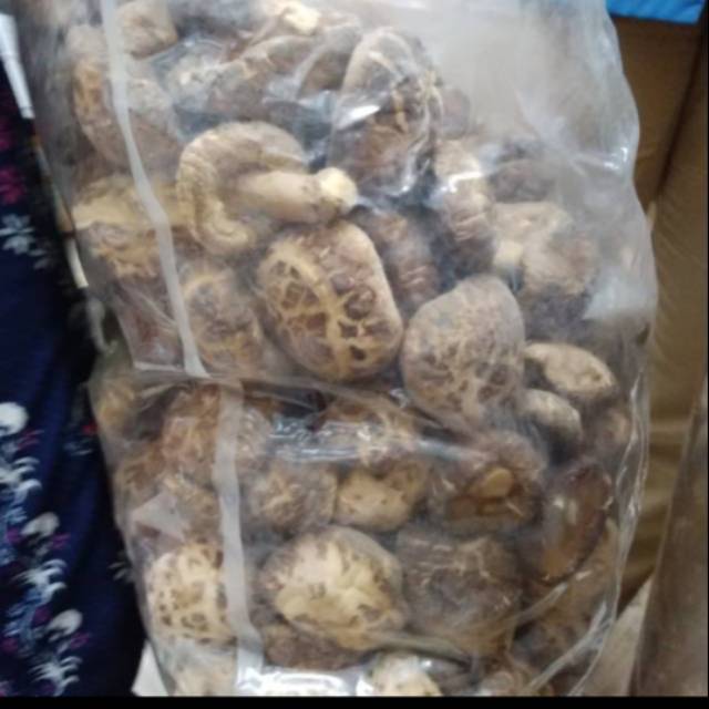 

Jamur payung Shitake /hioko (100gr)