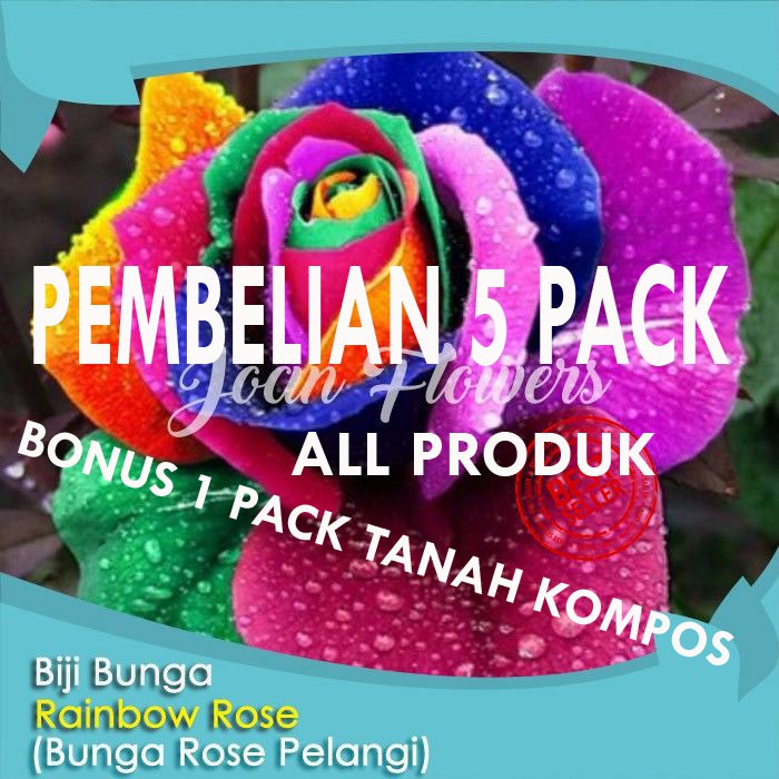 Benih Bibit Biji Bunga Mawar Pelangi Rainbow Rose Seeds