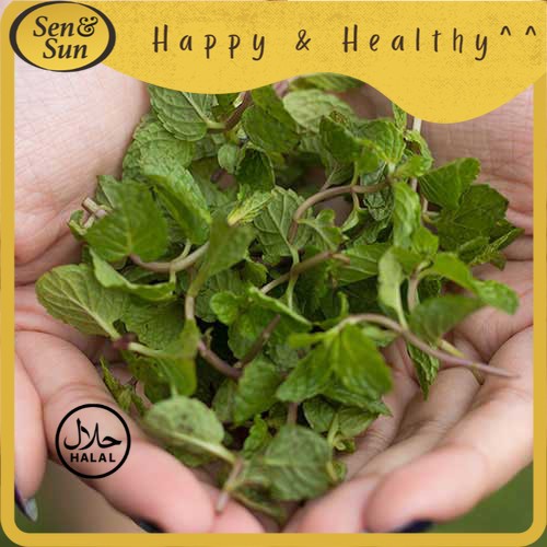 

Sen&Sun Daun Mint Conventional 1 kg