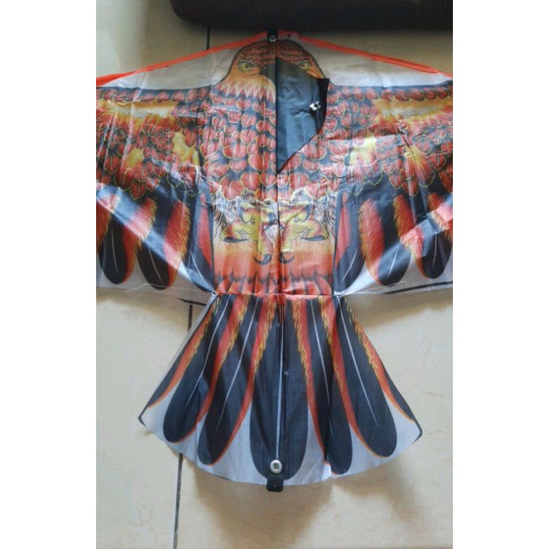 layangan hias burung elang