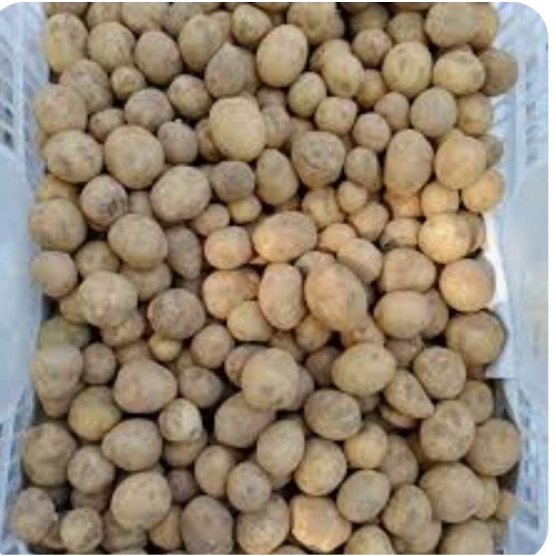 

Baby Potato / Kentang Kecil