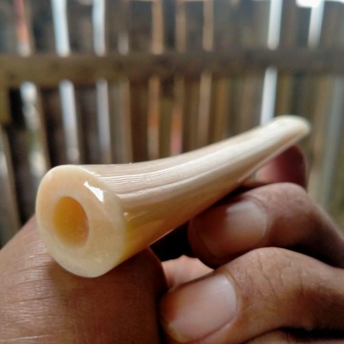 BEST SELLER PIPA ONCE TULANG IGA DUYUNG BENING 07 HAPPY SHOPING