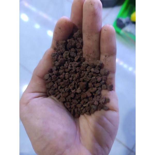 Pasir Malang Merah aquascape