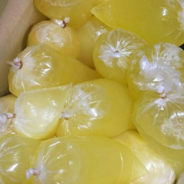 

Putih telur fresh murah