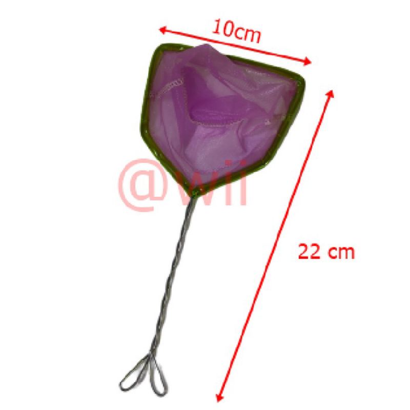 SESER IKAN SEROK IKAN SEROK AQUARIUM TERLARIS HIGH QUALITY PRODUK