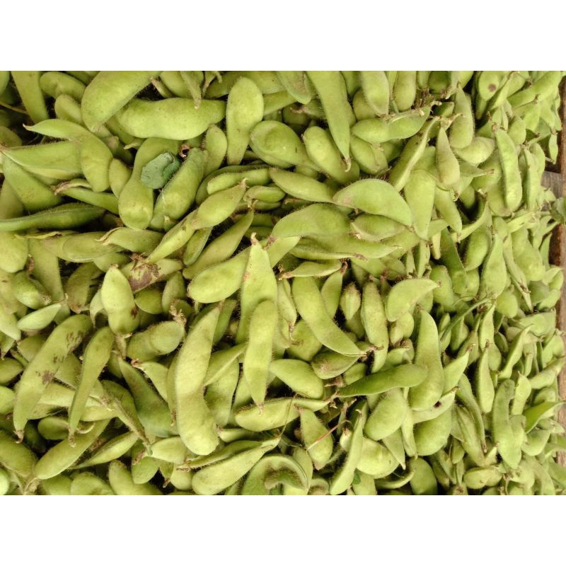 

Kacang edamame