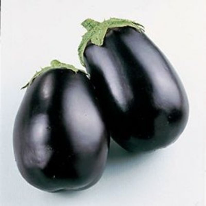 

Terong hitam 1 kg