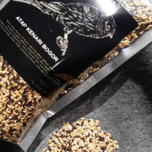 Pakan Jahat Kenari Harian