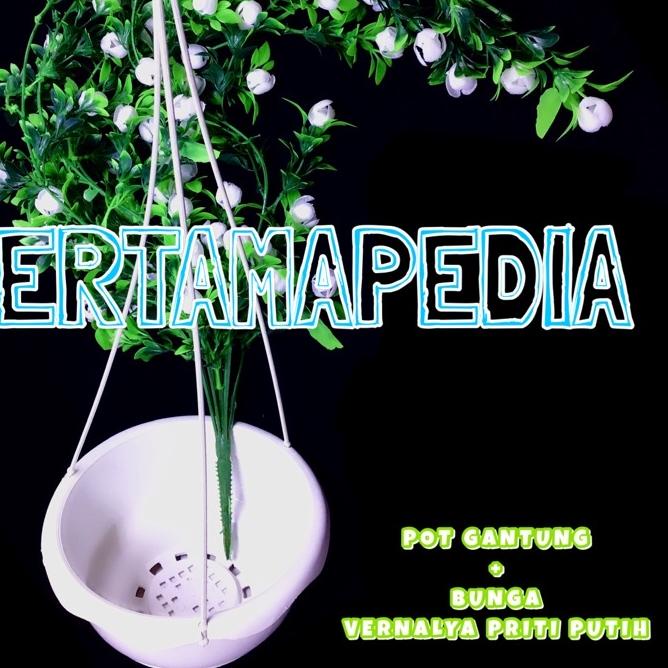 ✵ Paket Bunga Merambat Juntai Vernalya PRITI + Pot Gantung/ Bunga Plastik/ Daun Rambat Plastik/ Daun