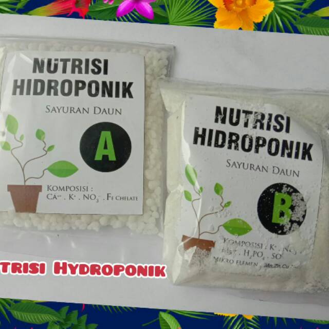 NUTRISI HIDROPONIK