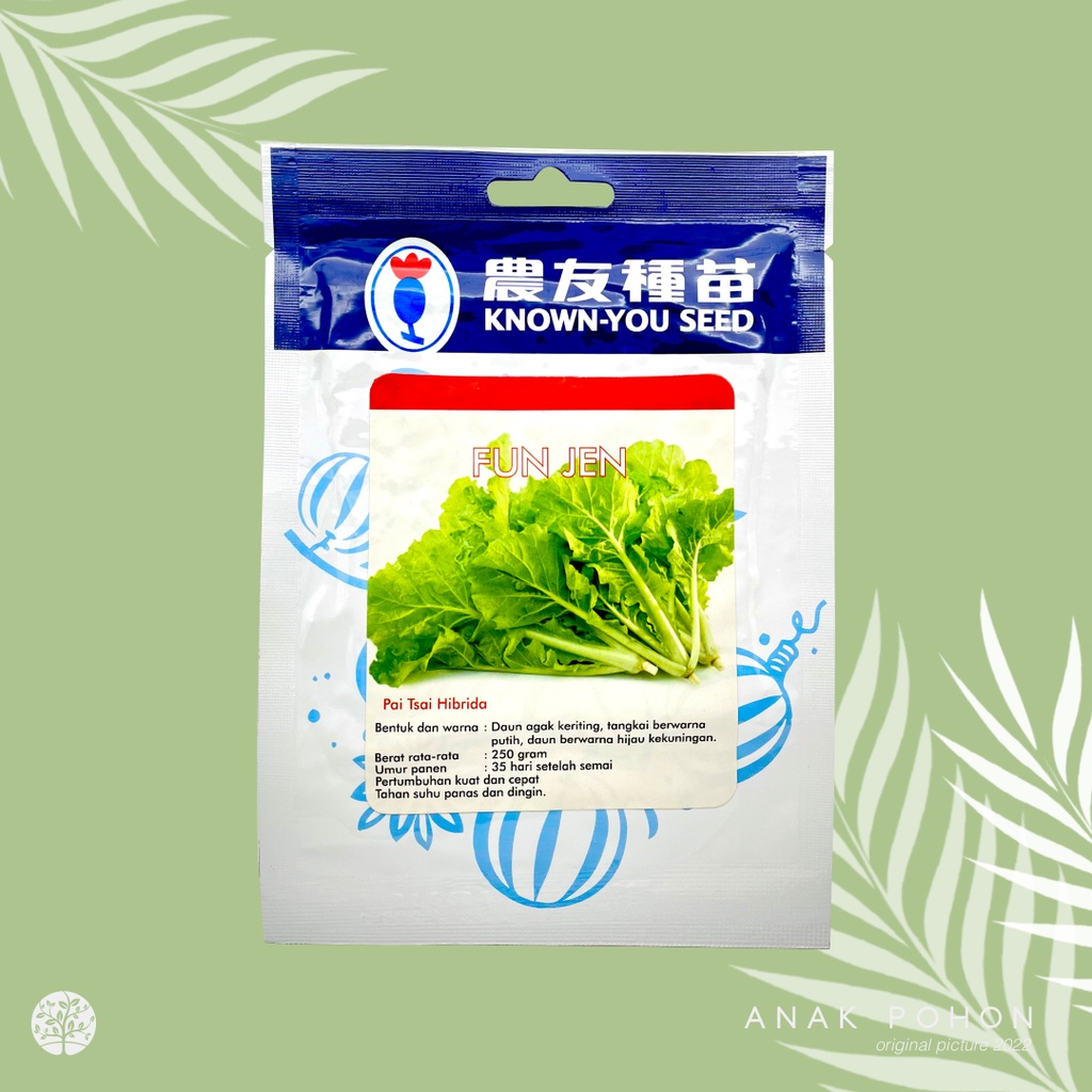 (1 PACK) Benih Sawi Samhong Keriting FUN JEN Pak Choy Pai-Tsai FUNJEN Seeds - Known You Seed KYS - 10 GRAM