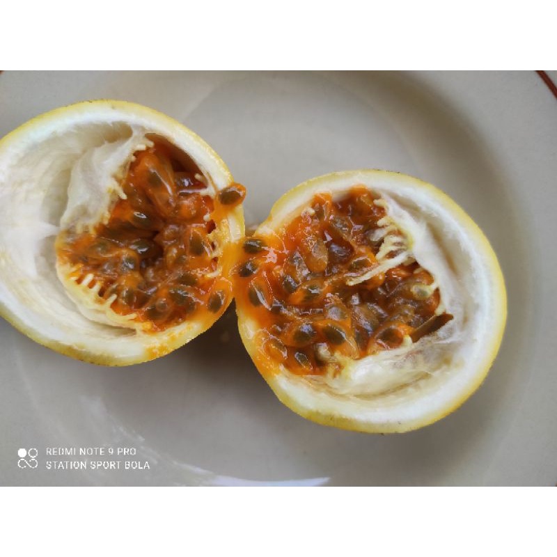

Buah markisa asam berat 1kg