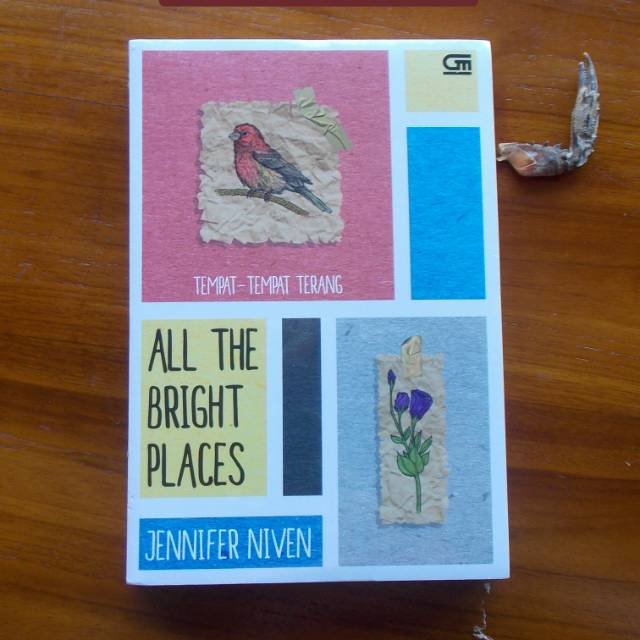 all the bright places - jennifer niven