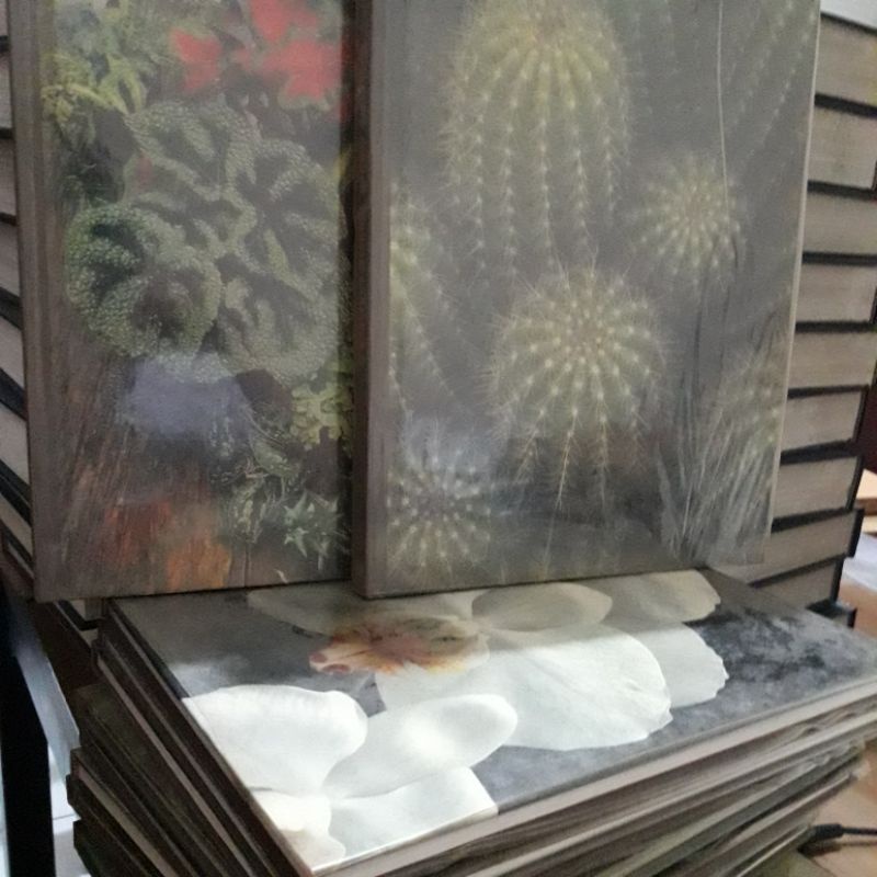 [PRELOVED] The Time Life Encyclopedia of Gardening