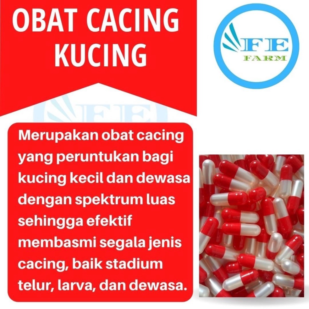 Obat Cacing kucing Jual Perbutir (10 butir 10 pcs atau 10 kapsul)