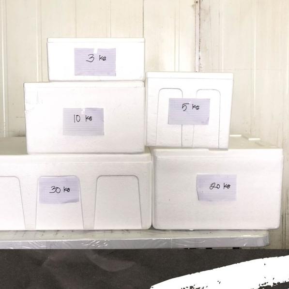 

➣ Styrofoam Box 5 - 8 kg / Styrofoam Box Ikan Beku ☆