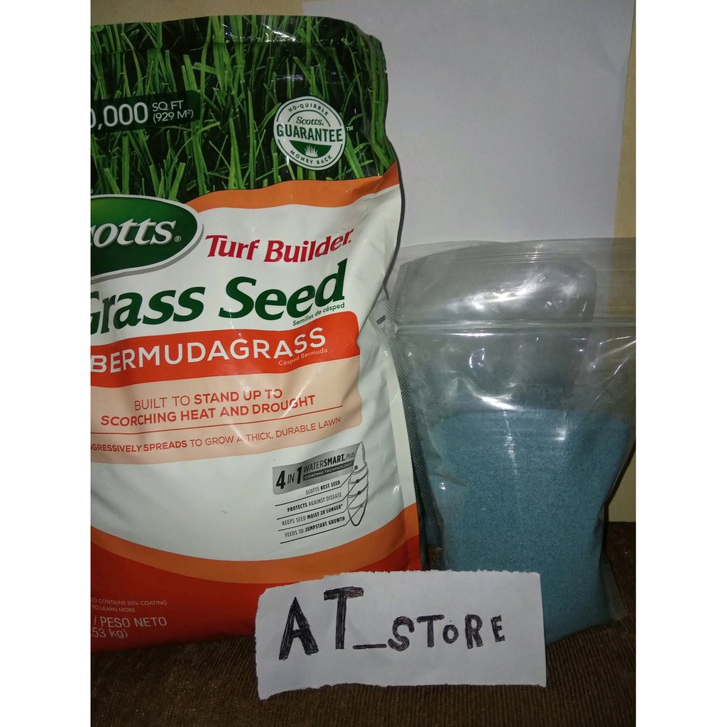 benih biji rumput bermuda grass - bibit rumput bermuda grass - b