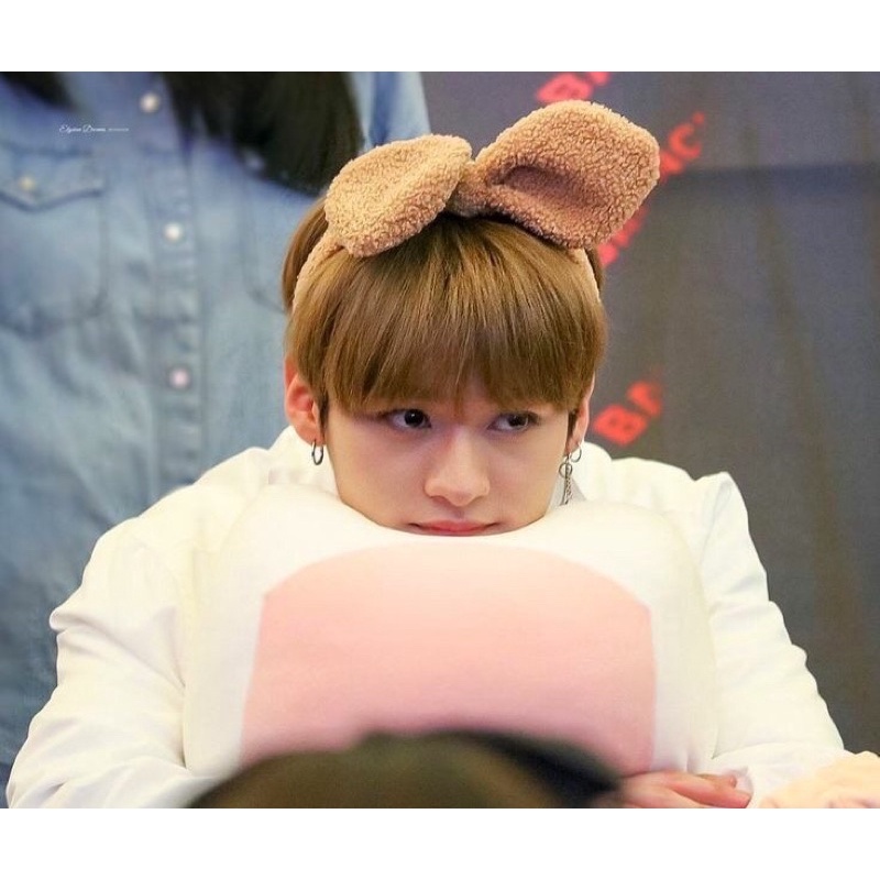 [booked] lee know swid inlife