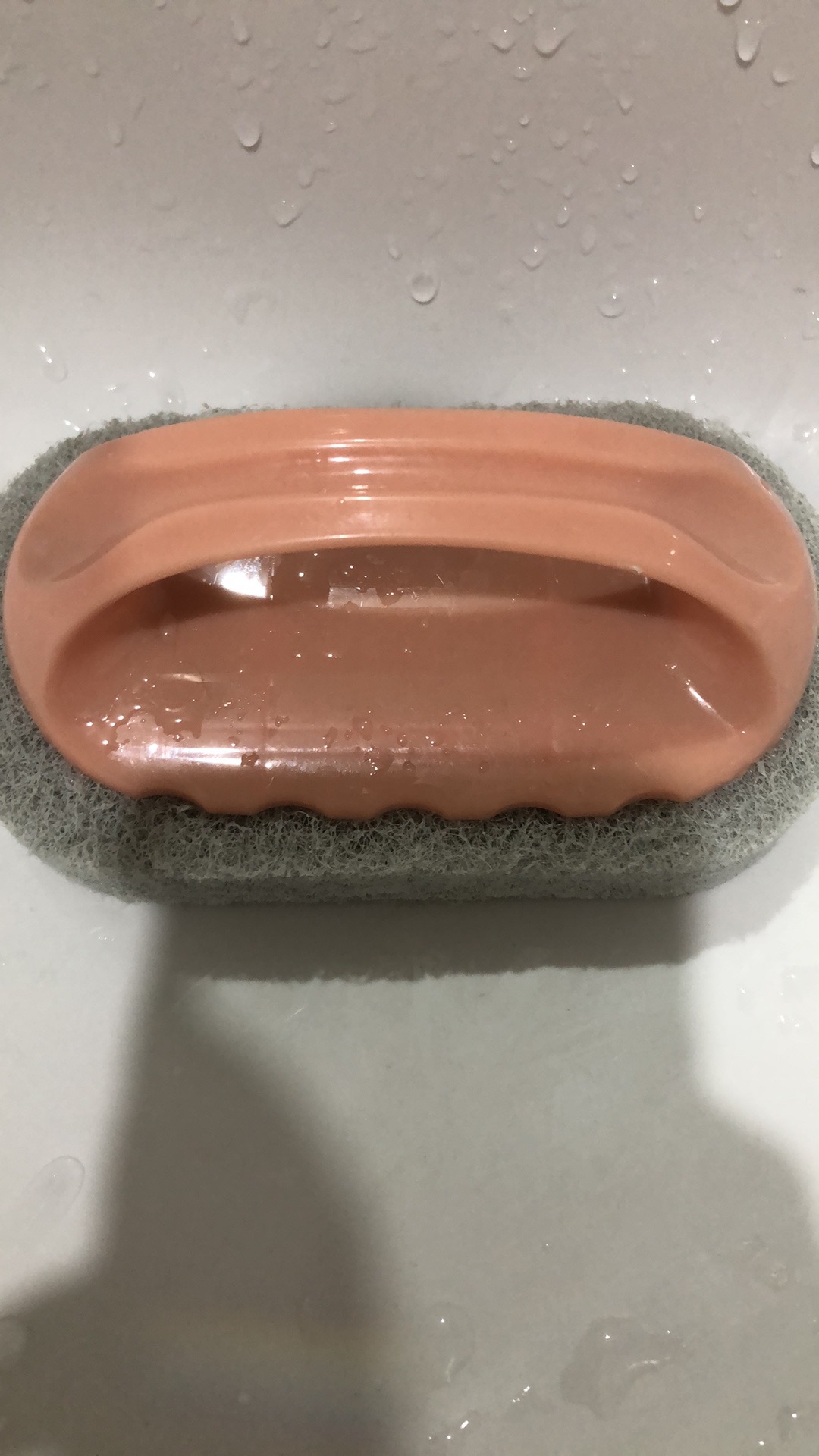 Sikat Multifungsi / Sikat Serbaguna /sikat Piring