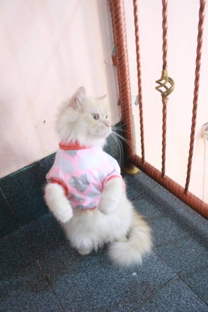 Kaos Jumper motif lope-lope untuk kucing &amp; anjing /Jual Baju Kucing Terlengkap &amp; Terlaris size S-XL