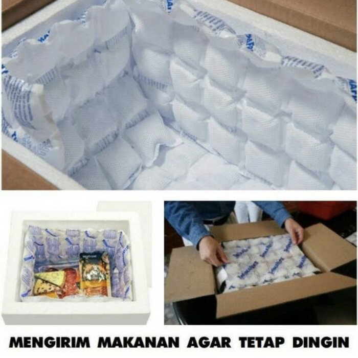

sd10zll Tambahan Packing Ice Gel Pack Thermafreeze Sd501Xa