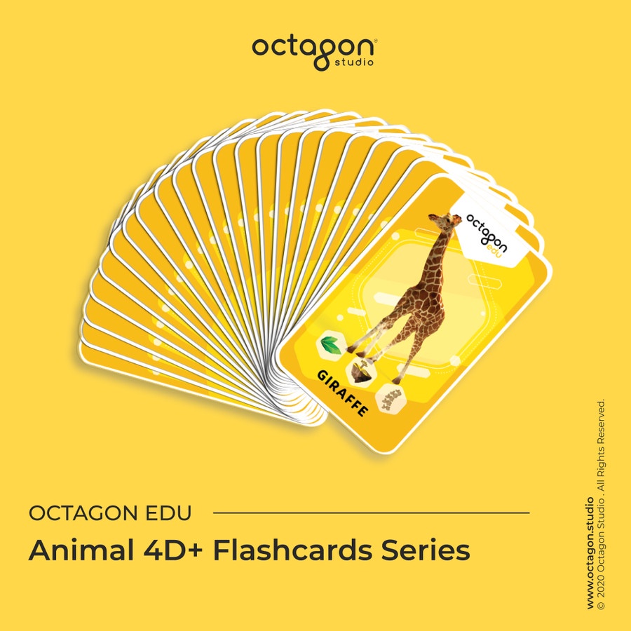 Kartu Animal 4D+ / Flash Card / Mainan Edukasi Anak (Octagon Studio)