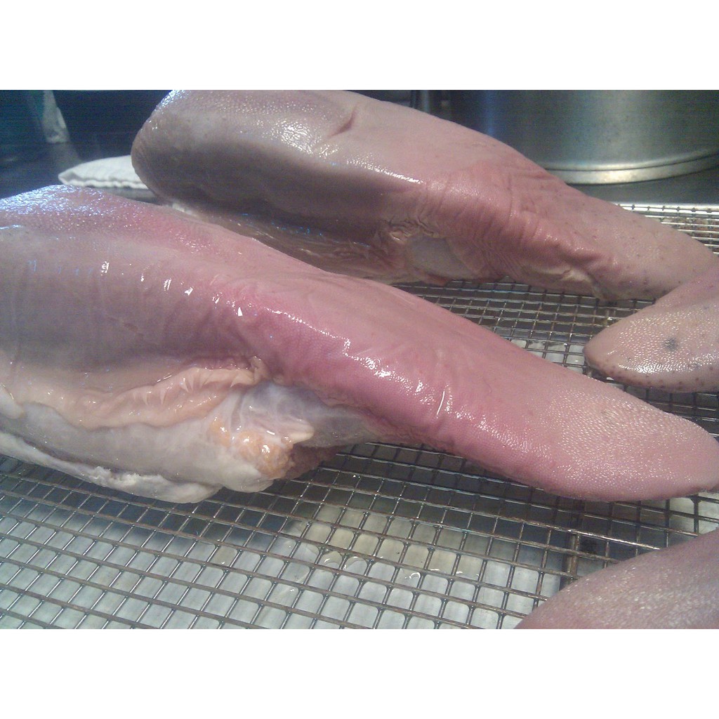 

Lidah Sapi Segar (Fresh Beef Tongue)