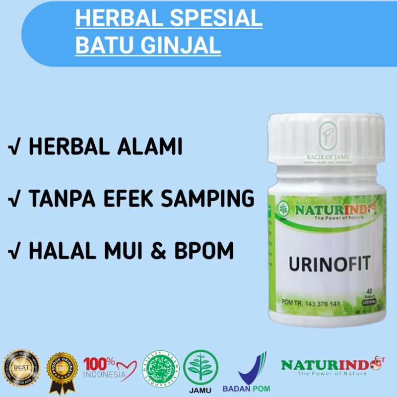 URINOFIT obat herbal batu ginjal dan pembersihan kandung kemih-2
