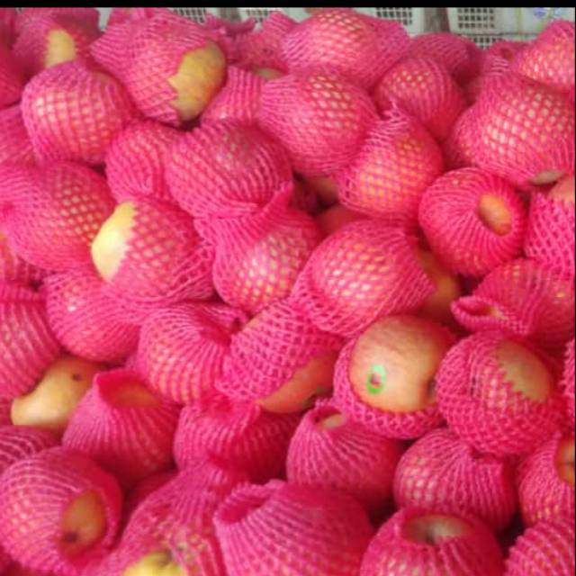 

Apel Fuji renyah non gabes