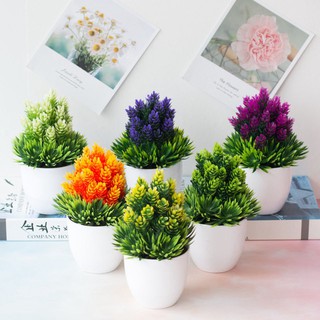 Pohon Pinus Plastik Pot Plastik Bunga Artificial Import Pohon Pinus Plastik Pot Plastik Bunga Artificial Import