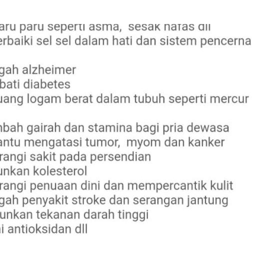 

Voucher|11.11[LR 034]|PROMO Madu bawang lanang / bawang tunggal 350 gram free dus box