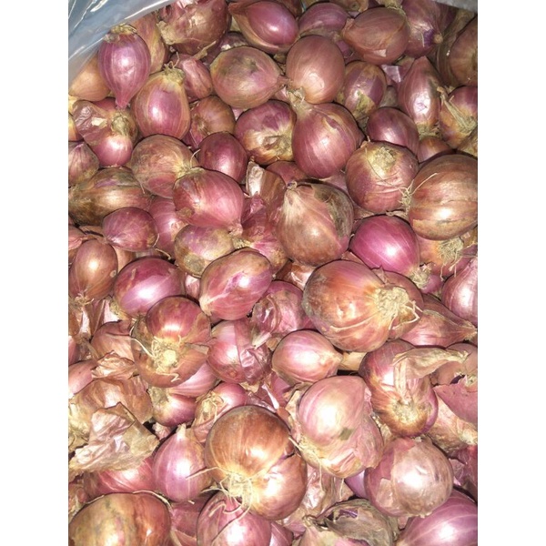 

Bawang Merah