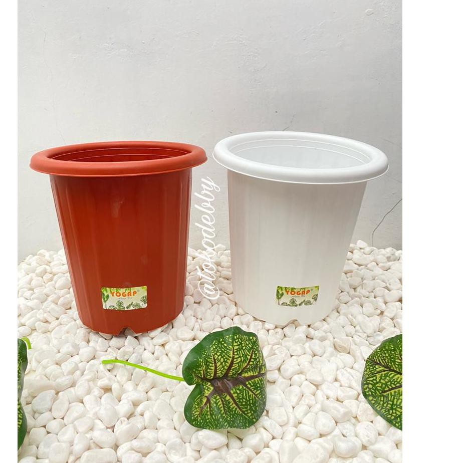 STAR BRANDS Pot Tanaman YOGAP 19