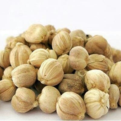 

Dijual Kapulaga Jawa 100 gram / Kapol / Cardamon 100gr Berkualitas