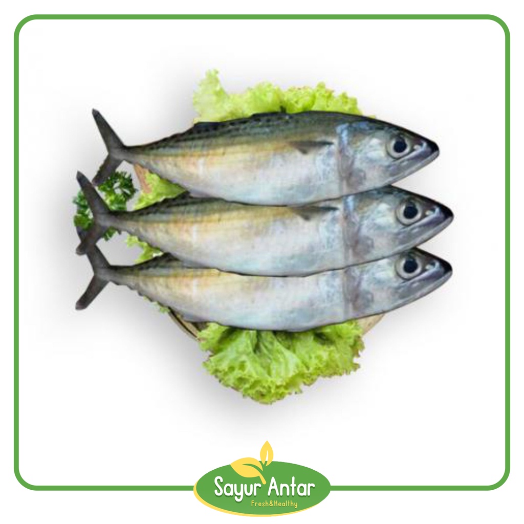

Ikan Kembung 500 gr | Sayur.Antar | Free Ongkir Bandung Cimahi