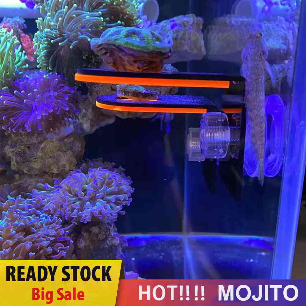 Rak Holder Koral Fluorescence Dengan Plug Suction Stand Untuk Tangki Ikan