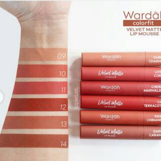  WARDAH  COLORFIT VELVET MATTE LIP MOUSSE 4 Gr ready no  9  