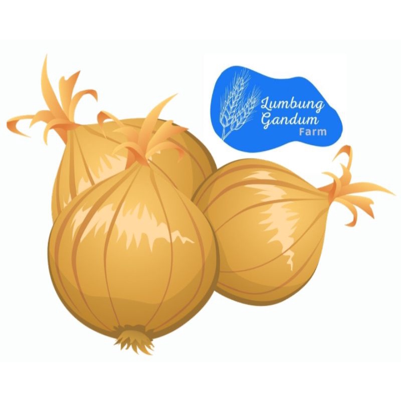 

Bawang Bombay Golden