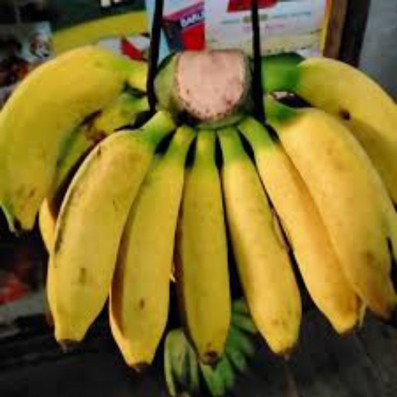 

Pisang Raja / Pisang raja bulu _ 1 sisir