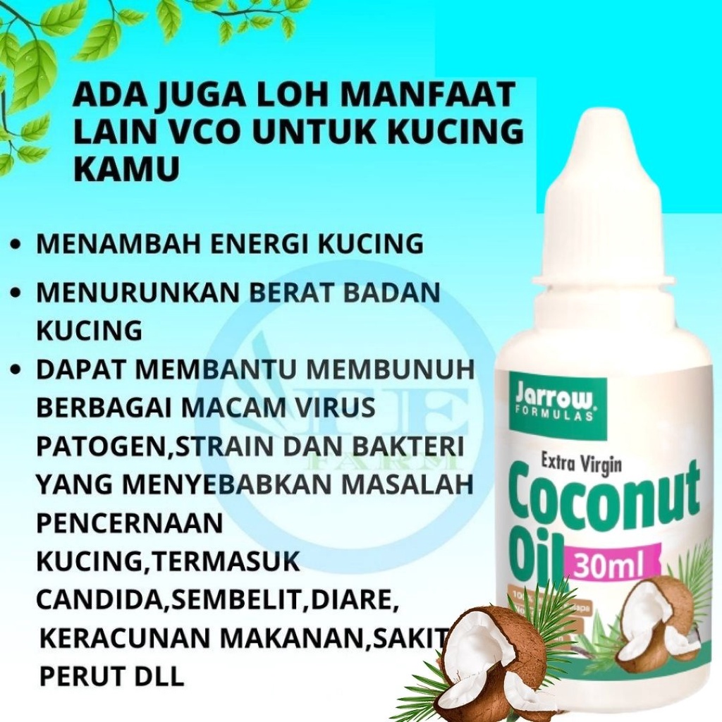 VIRGIN COCONUT OIL 30ml MINYAK KELAPA MURNI VCO MURNI OBAT JAMUR OBAT SCABIES KUCING OBAT BULU HEWAN FEFARM