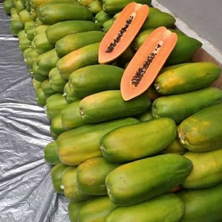 

Buah Pepaya California Fresh / 5 Pcs