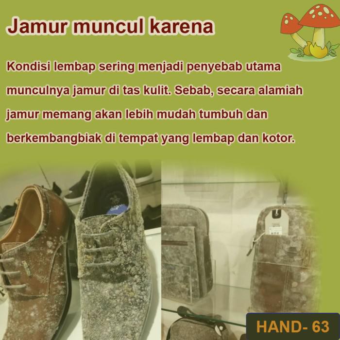 SILICA GEL 2 GR menyerap kelembaban udara anti jamur tas kulit terbaru