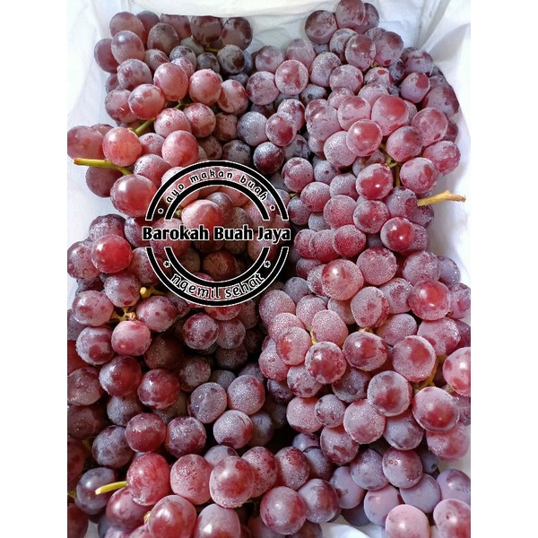 

BUAH ANGGUR RRC 500GRAM
