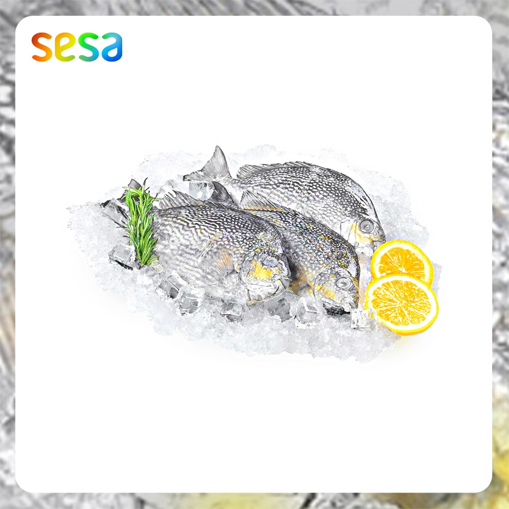 

Ikan Baronang Frozen 0.8-0.9 kg