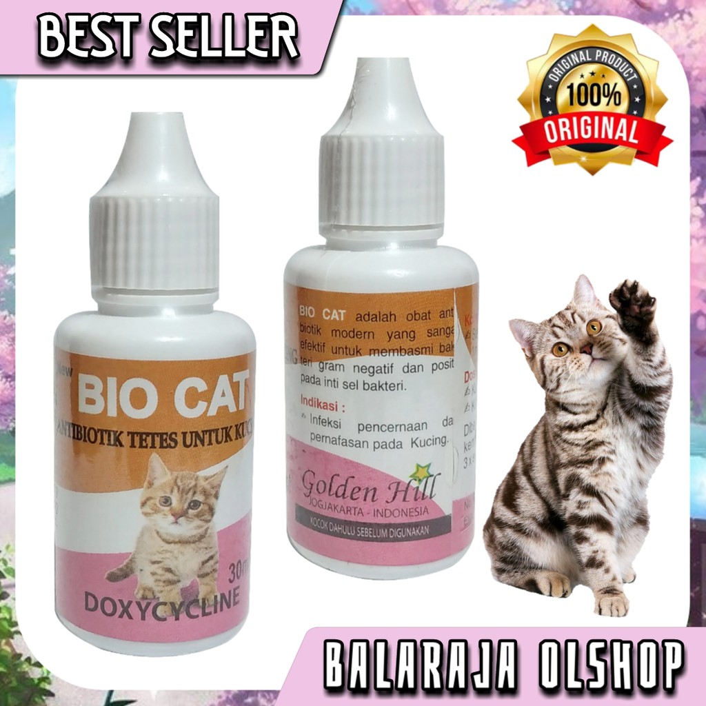 ANTIBIOTIK KUCING OBAT DIARE GANGGUAN PERNAPASAN FLU PILEK DEMAM KUCING KITTEN - BIO CAT