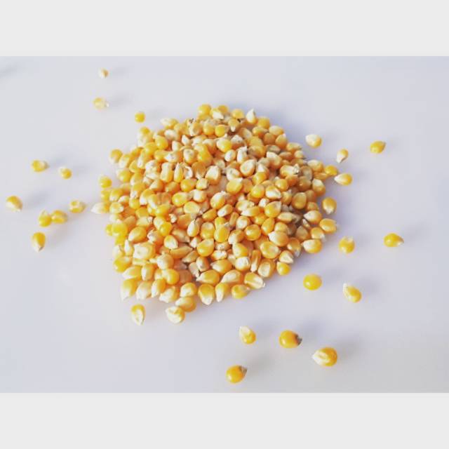 

[100g] Jagung Pop Corn Repack