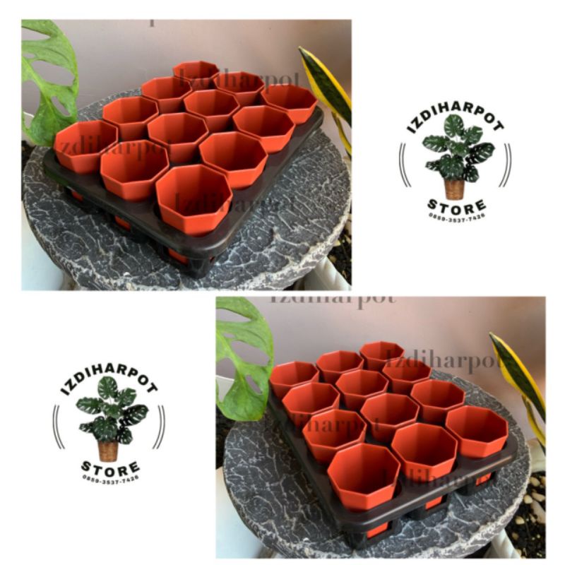 1 set Tray + POT BUNGA NKT PAGODA 5CM MERAH BATA | tray semai bibit