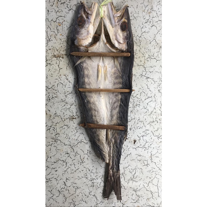 

Ikan kacang2/Barakuda Asin