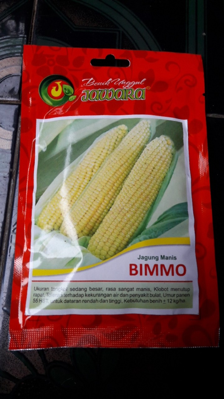 Isi 50 Gram Bibit Jagung Manis Bimmo | Benih Jagung | Biji Jagung Manis | Bibit Unggul